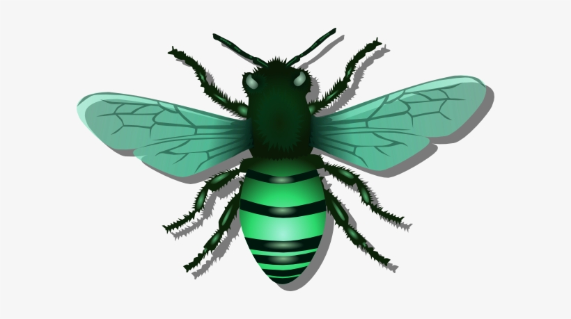 Bee Green Image - Bee Blue, transparent png