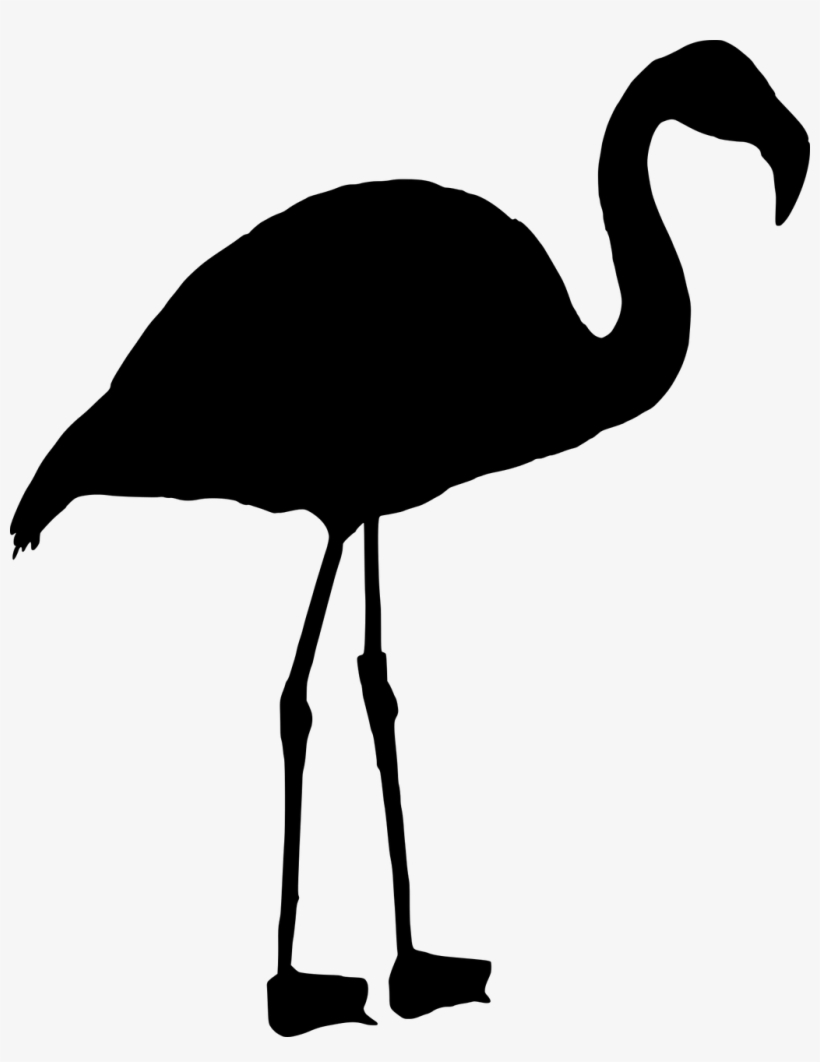 Vector Graphics,free Pictures, Free - Flamingo Preto Png, transparent png