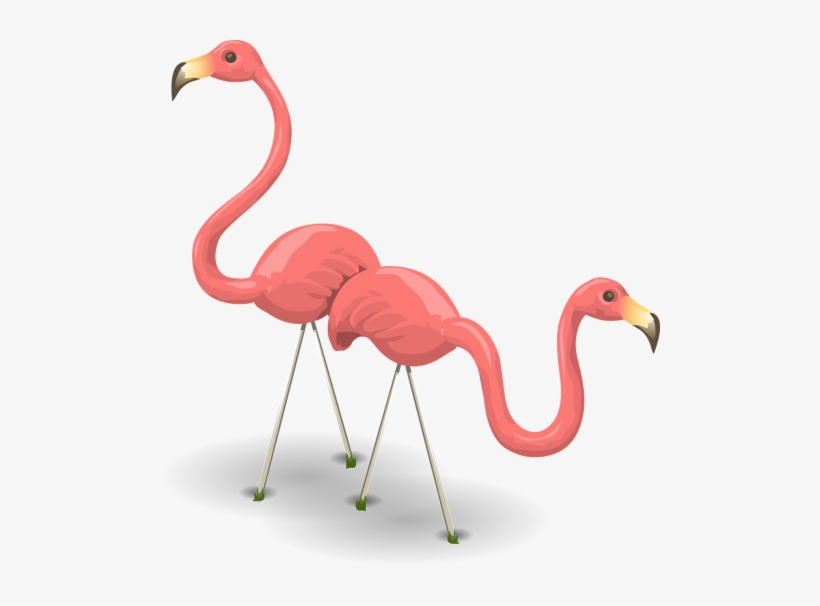 Birds,phoenicopteridae - ! Mugs, transparent png
