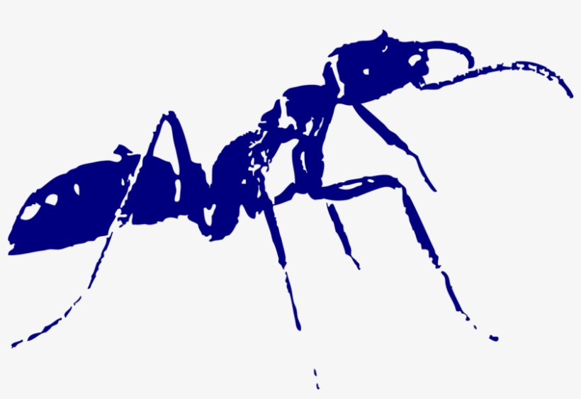 Termitas-1024x1024 - Crazy Ants, transparent png