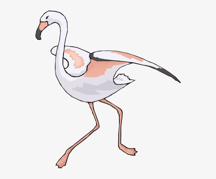 การ์ตูน นก กระสา, transparent png