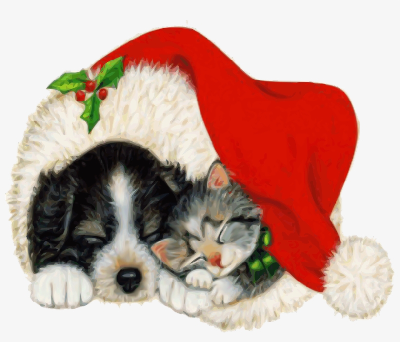 2 More Satisfied Customers A Perfect, transparent png