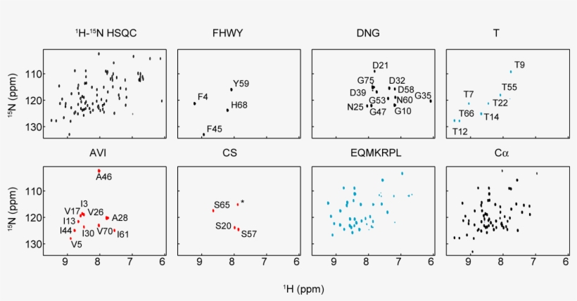 Ubiquitin - Number, transparent png