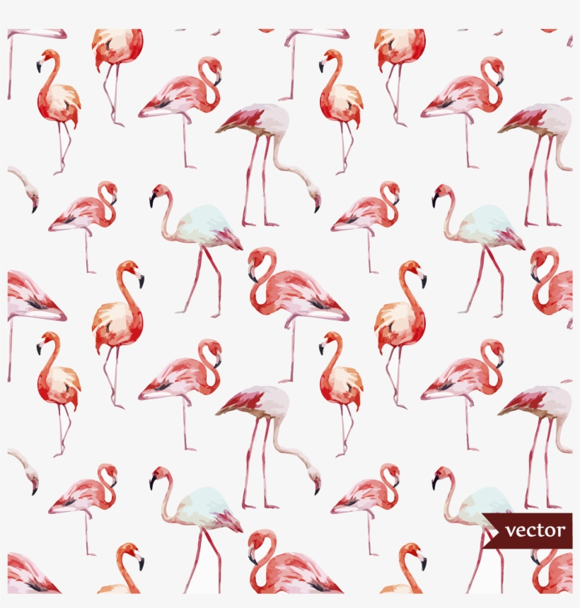 Wallpaper Flamingos - Free Flamingo Vectors, transparent png