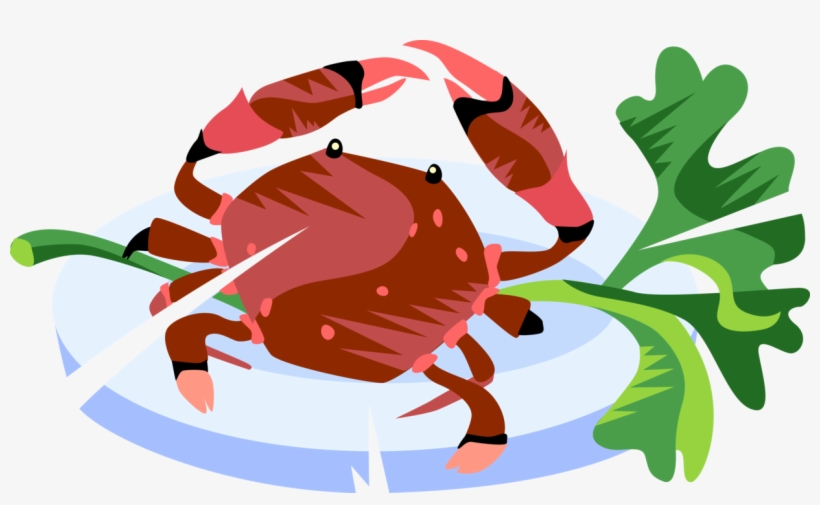 Vector Illustration Of Decapod Marine Crustacean Crab - Crab, transparent png