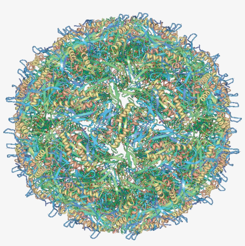 Circle, transparent png