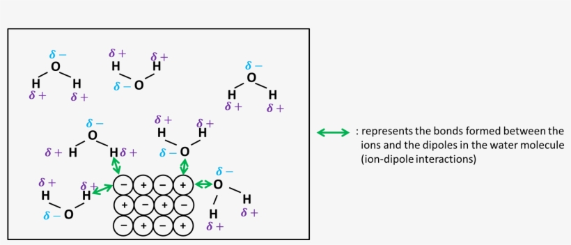Dissolving Ionic Compound1 - Diagram, transparent png