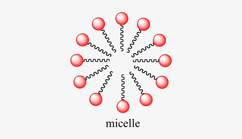 Image134 - Amphipathic Molecule, transparent png