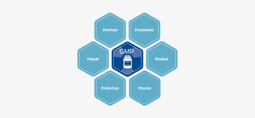 Gmp Compliance With Help From The Experts - Importance Of Gmp, transparent png