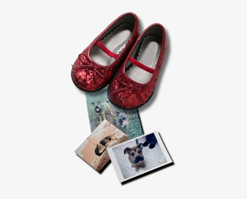 Stephanie Barden » Snippets » Both Rodents And Reviewers - Stephanie Barden, transparent png