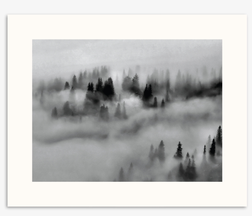 Photographers Lane Ground Fog - Art, transparent png