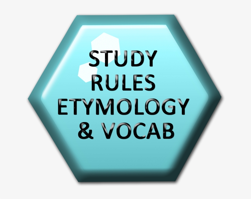Etyma Rules Vocab Nationalspellingbee Hexco - Drawing, transparent png