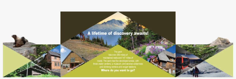 This Park Offers Plenty Of Activities Such As Hiking, - Mount Rainier, transparent png