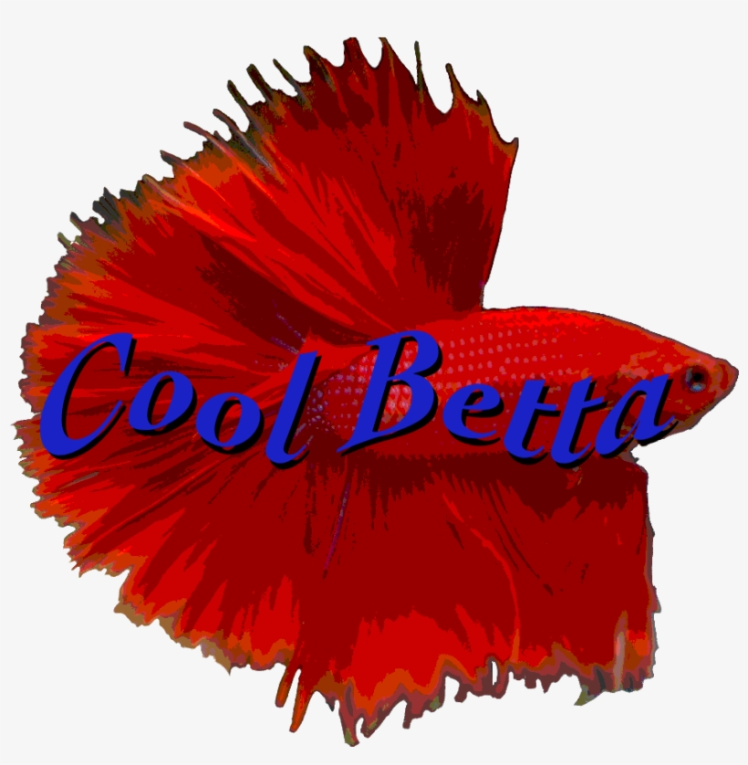 Cool Betta Logo - Illustration, transparent png