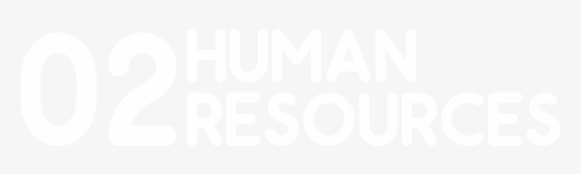 02@2x - Human Resource, transparent png