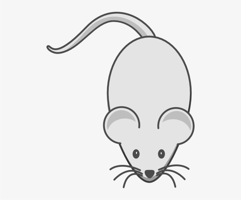 White Mouse Both Grey Ears Clip Art At Clker - Cartoon Mouse, transparent png