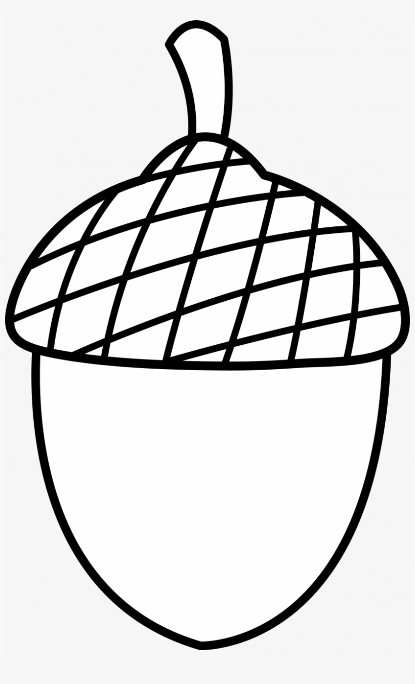 Acorn Clipart Black And White, transparent png