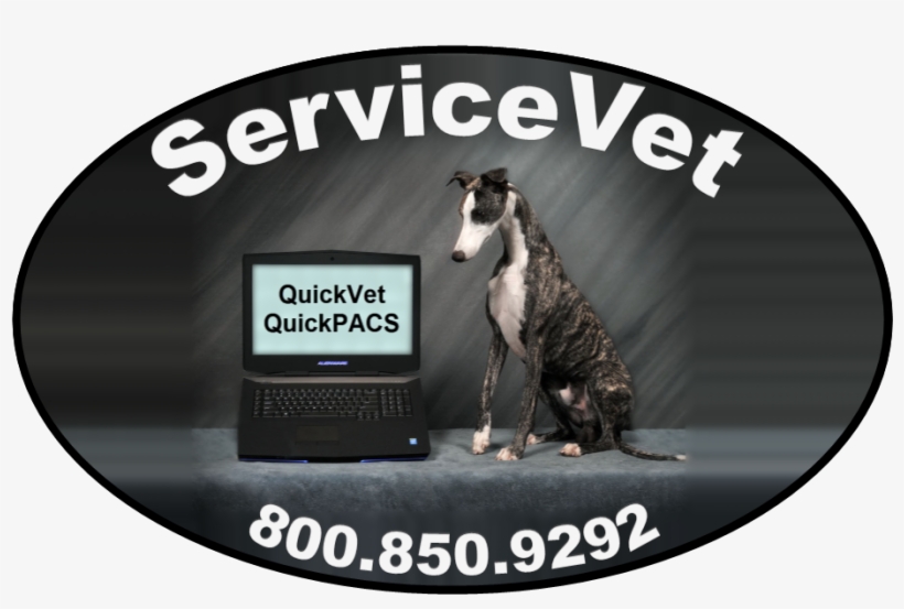 Servicevet Technologies - Dog, transparent png