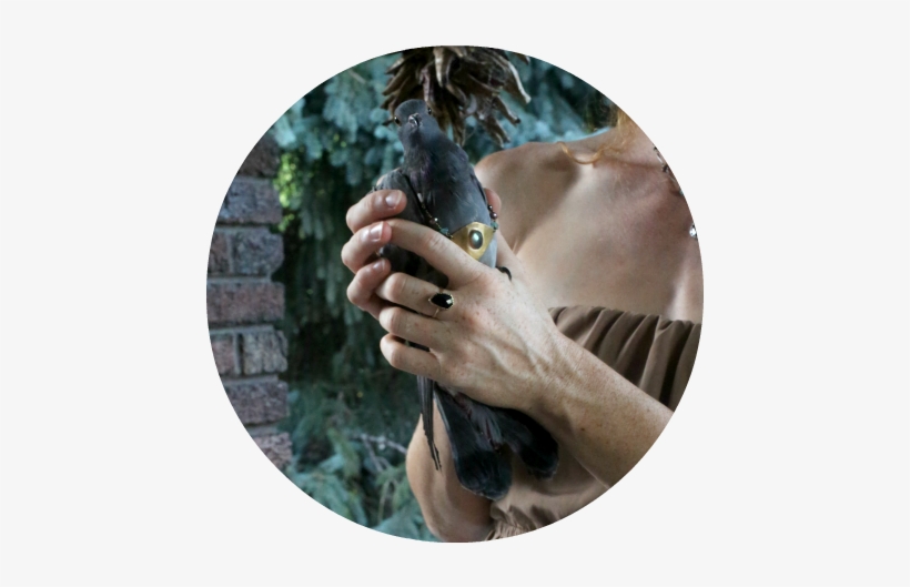 This New Moon, July 23rd, Marks The Beginning Of Leo, - News, transparent png