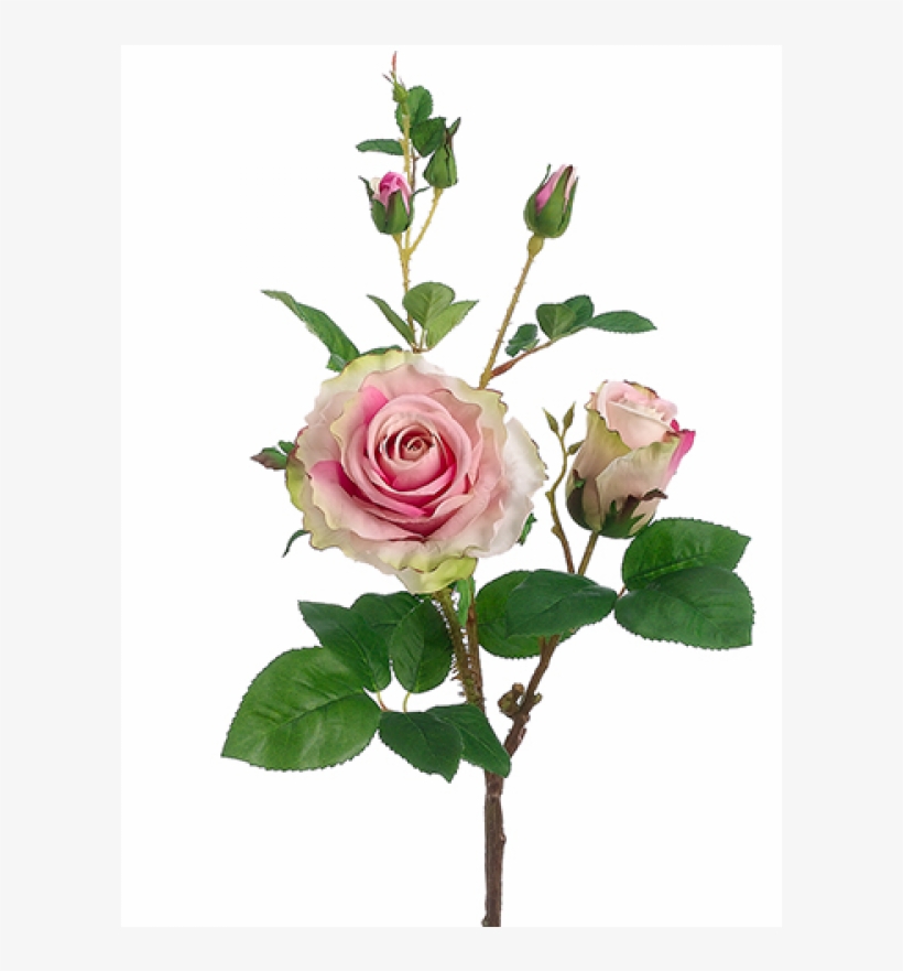 19" Rose Spray Rose Pink - 19" Handwrapped Silk Rose Flower Spray -rose/pink (pack, transparent png