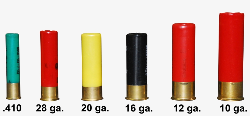 Municiones Para Escopeta - Gauges Of Shotgun, transparent png