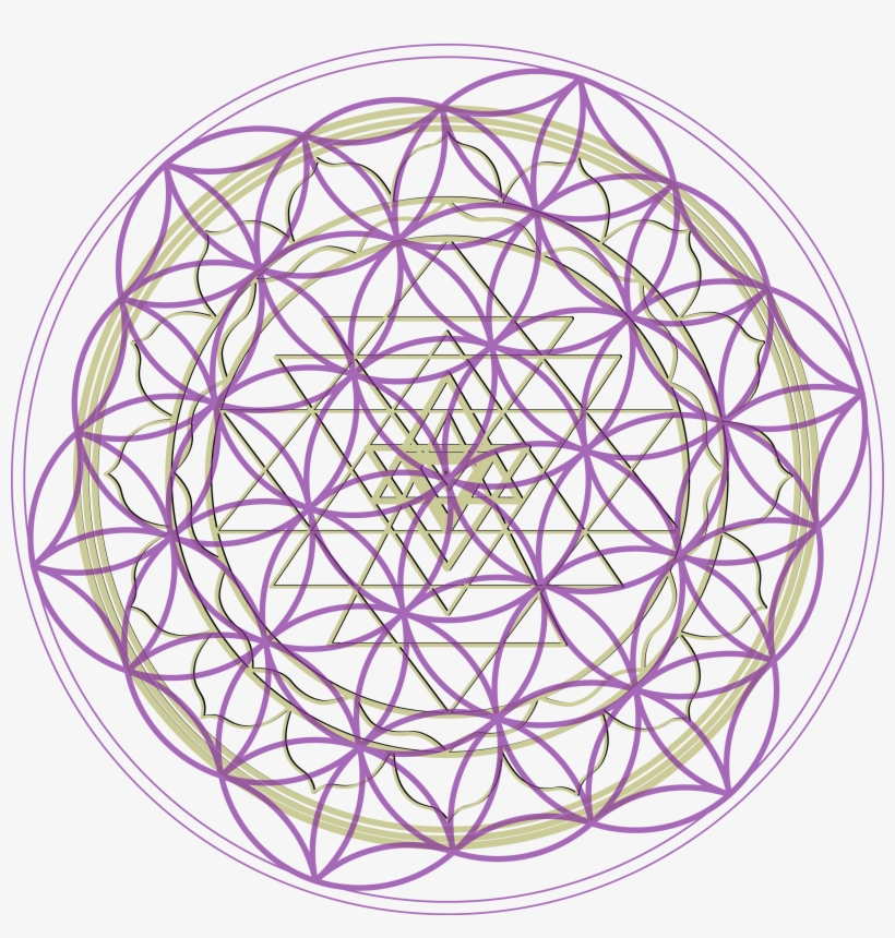 Bitpath-sriyantra - Circle, transparent png