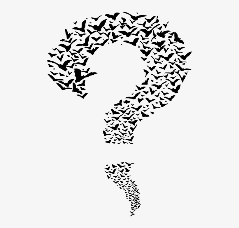Pizi Question Mark Shirt Mens Graphic Tops - Illustration, transparent png