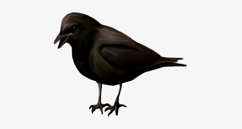 Pin By Melody Bray On Clip Art - Clip Art, transparent png