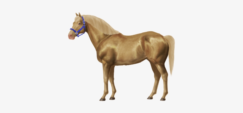 Taken On Mon Jul 18, 2016 - Horse, transparent png