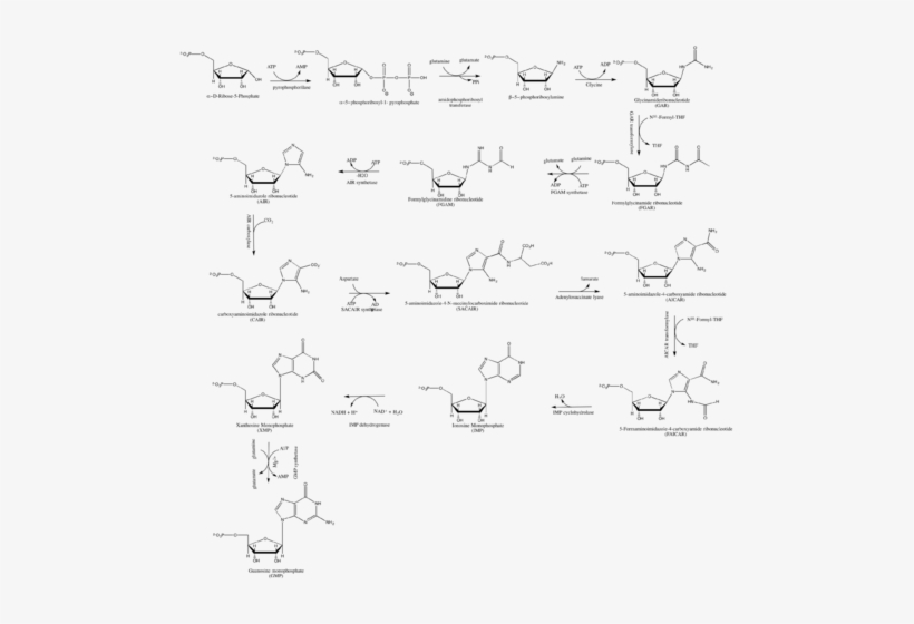 249 × 240 Pixels - Diagram, transparent png