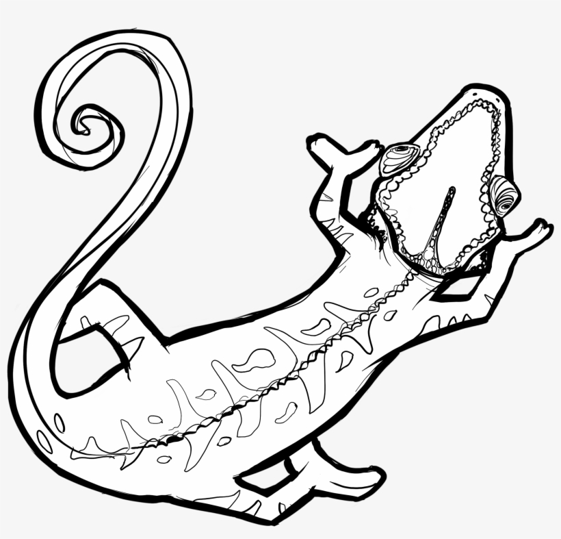 Chamaleon Outlines Black And White - Wikimedia Commons, transparent png