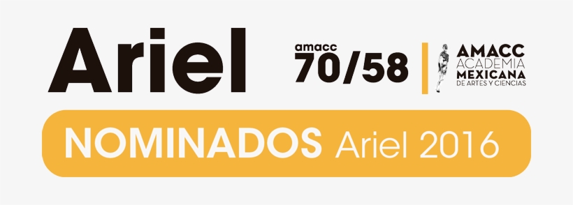 Ariel - Amacc, transparent png