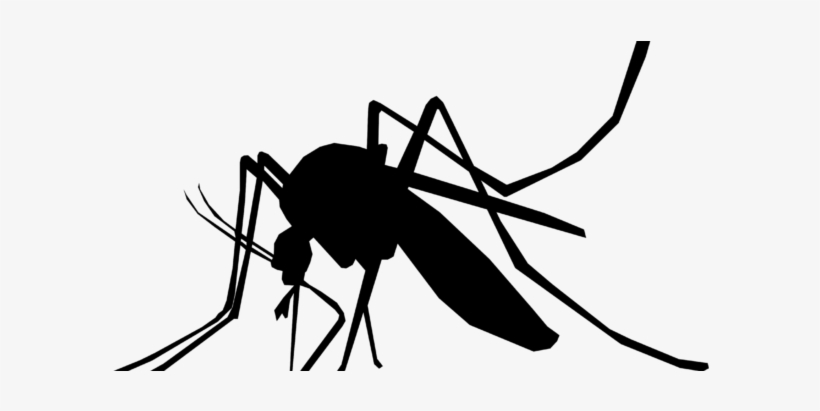 Nursed To Health - Defend Natural And Deet Free Waterproof Insect, transparent png
