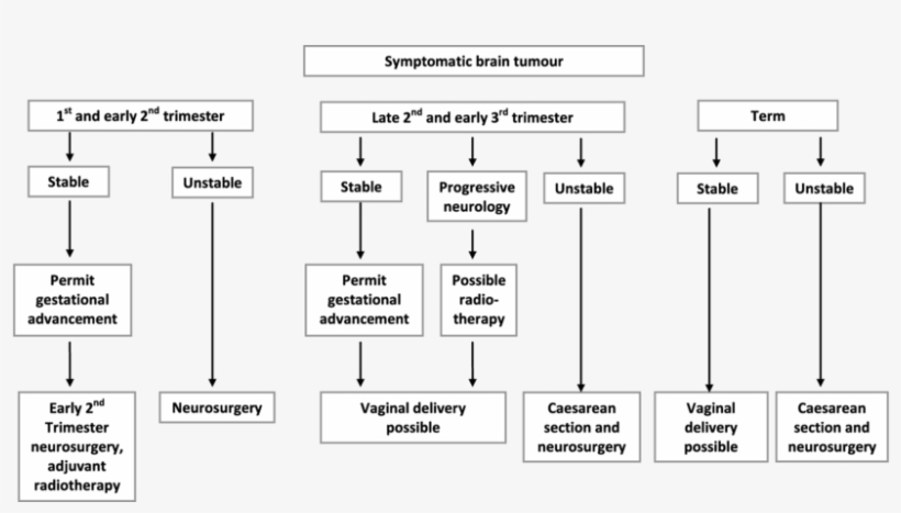 Algorithm For Management Of Brain Tumours In Pregnant - Management, transparent png