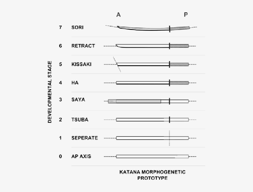 The Reverse Engineered 'katana' Prototype - Science, transparent png