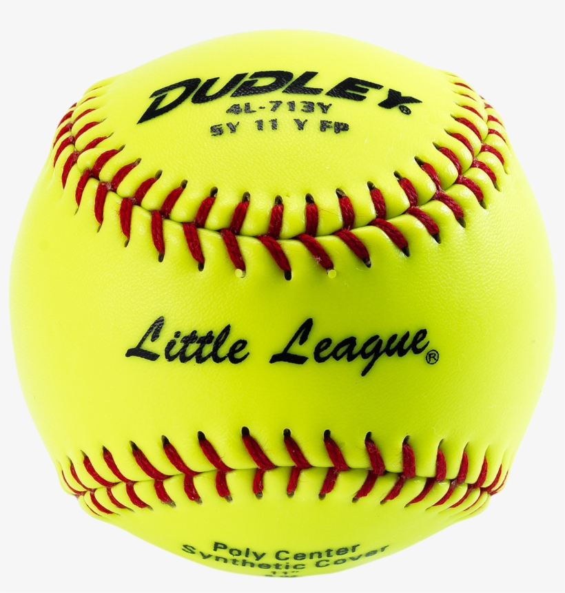 4l713y Dudley 11" Pony League Leather Fastpitch Softball 1210x1500