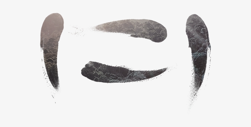 Canopy Shirt Idea - Portable Network Graphics, transparent png