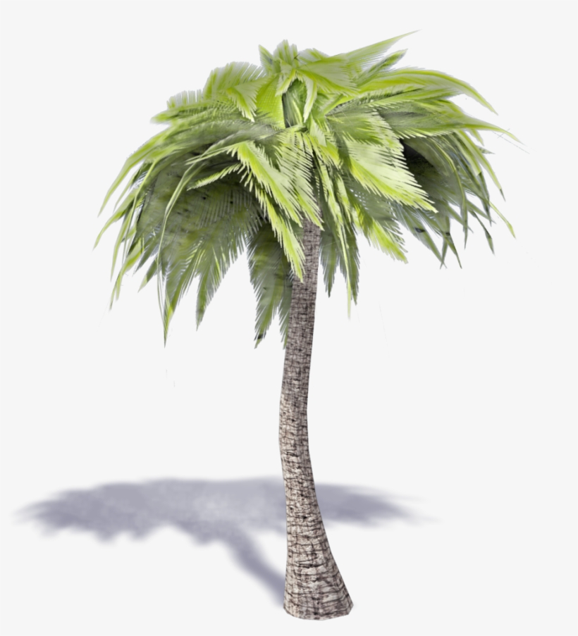 Palm Tree 3d Png, transparent png