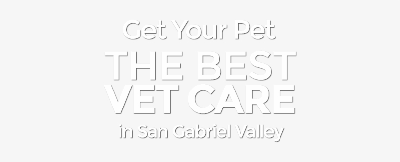 Shoes Made Out Of Gum, transparent png