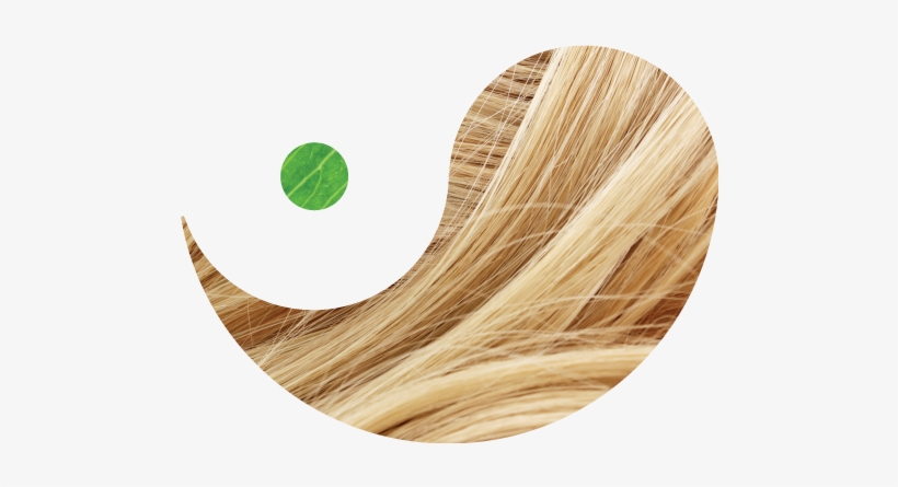 Blond, transparent png