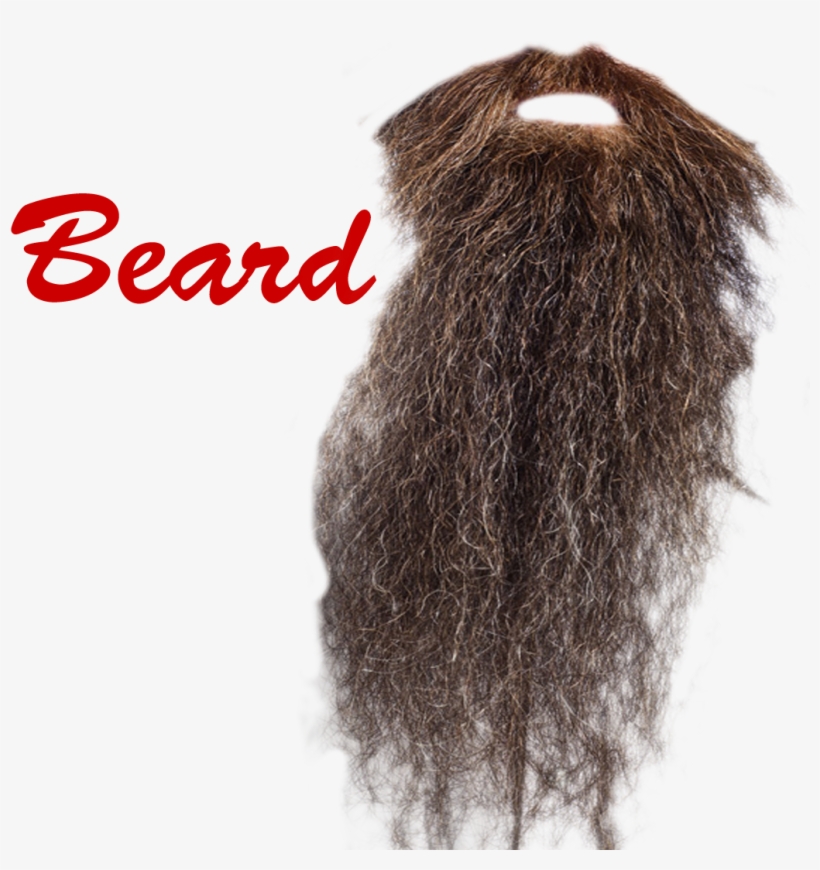 Beard Png Picture - Michael Bevilacqua By Michael Bevilacqua, transparent png