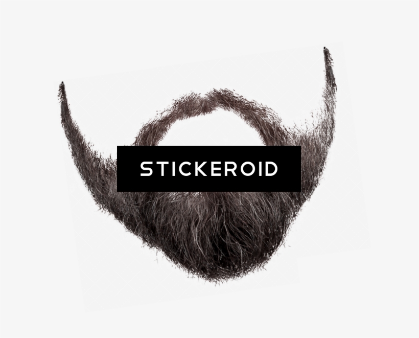 Beard And Moustache - Two-toed Sloth, transparent png