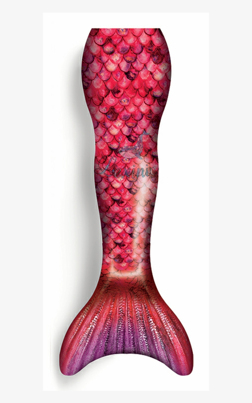 Precious Coral, transparent png