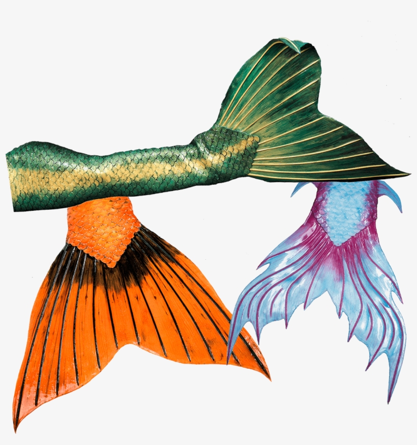 High Quality Silicone Mermaid Tails From Mermaid Kat - Mermaid, transparent png