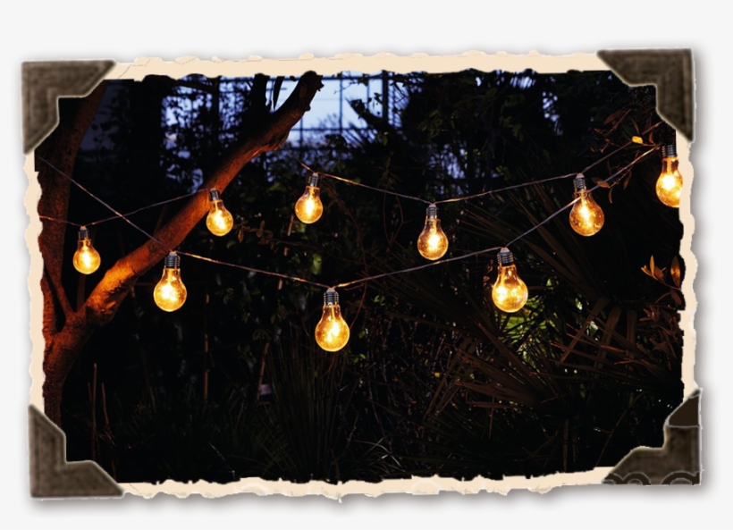 Lights - “, transparent png