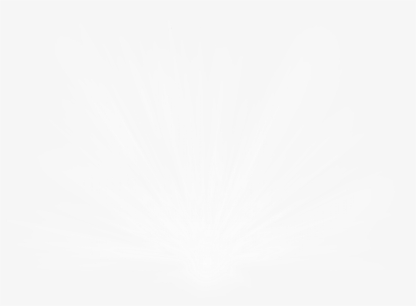 Report Abuse - Light Png, transparent png