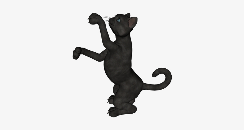 Black Cat - Illustration, transparent png