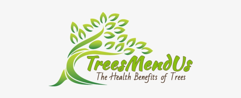Action Plan To Feel Better Instantly With Tree Air - Landscape Committee, transparent png