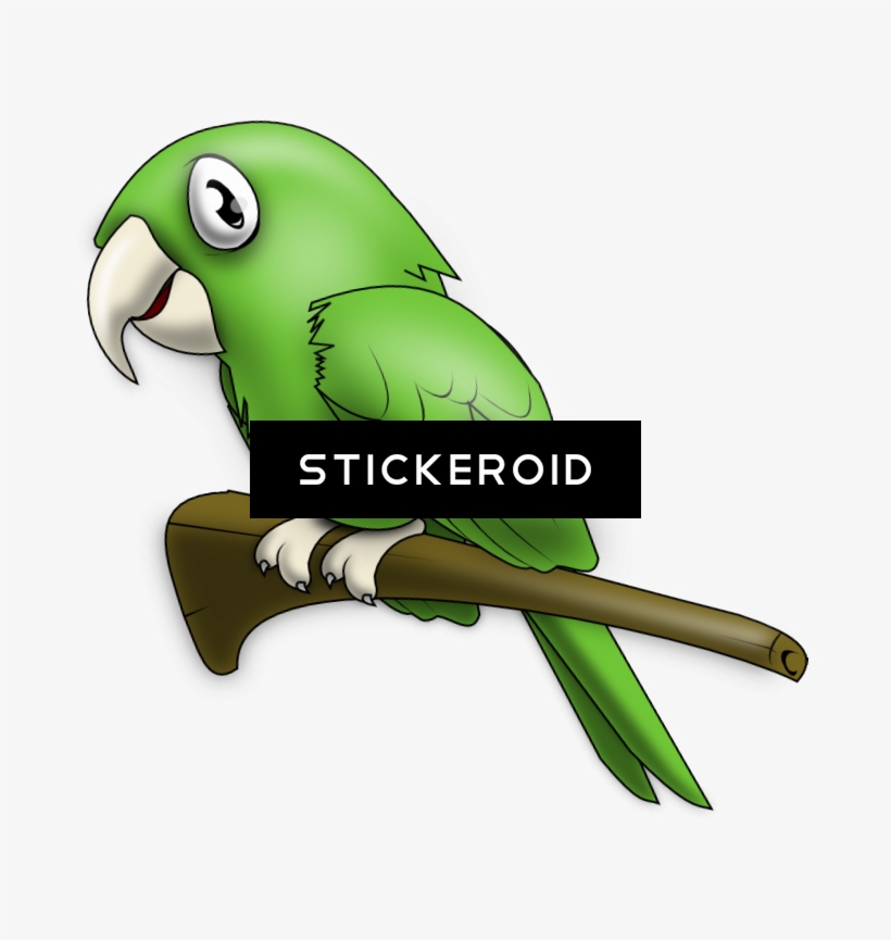 Cute Parrot - Clip Art, transparent png