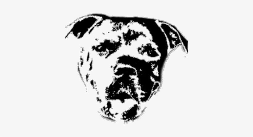 The Pitbull Club - Twitter, transparent png